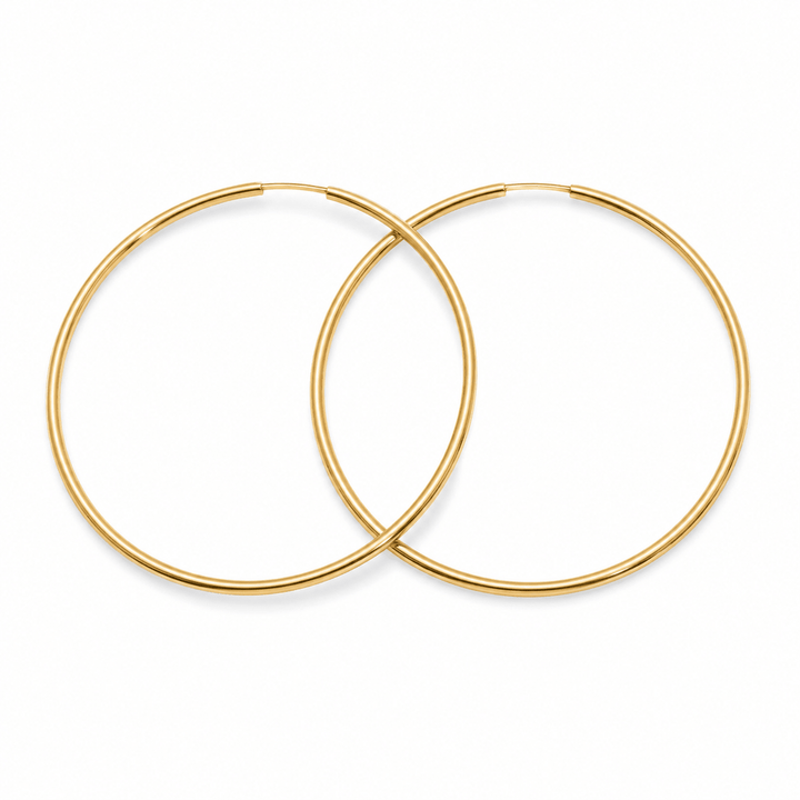 Infinity Hoop Earrings - iceandgold
